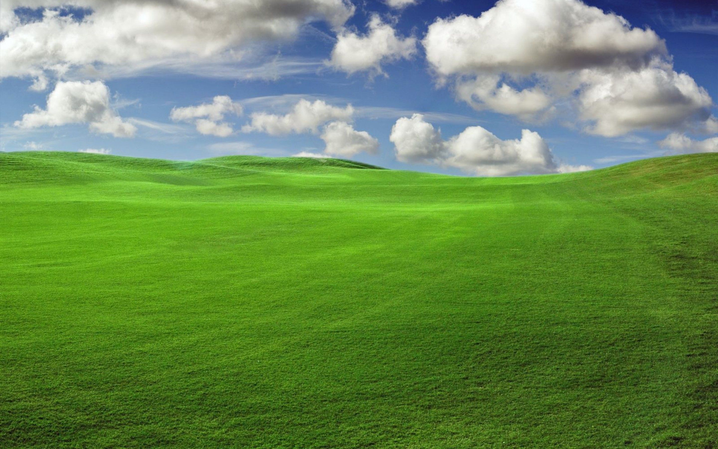 Windows XP Home Edition Inverted Colors Wallpaper by SamBox436 on DeviantArt