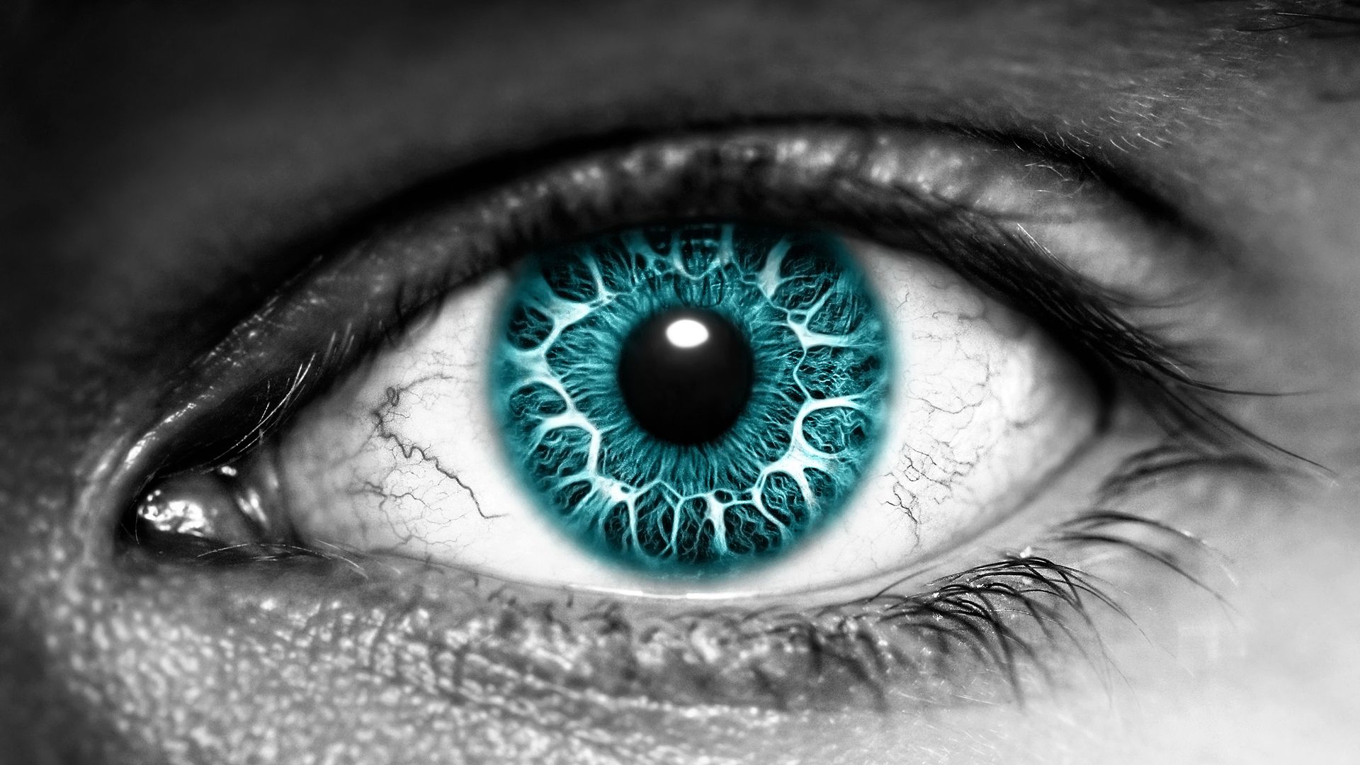 3D Eye With Blue Eyeball Wallpaper | HD 3D and Abstract Wallpapers ...