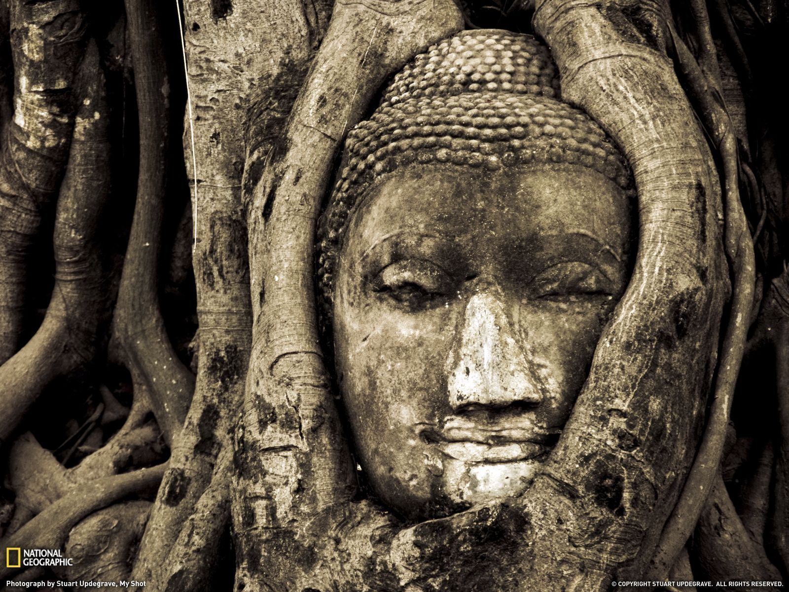 Buddha Photo, Ayutthaya Wallpaper – National Geographic Photo of ...