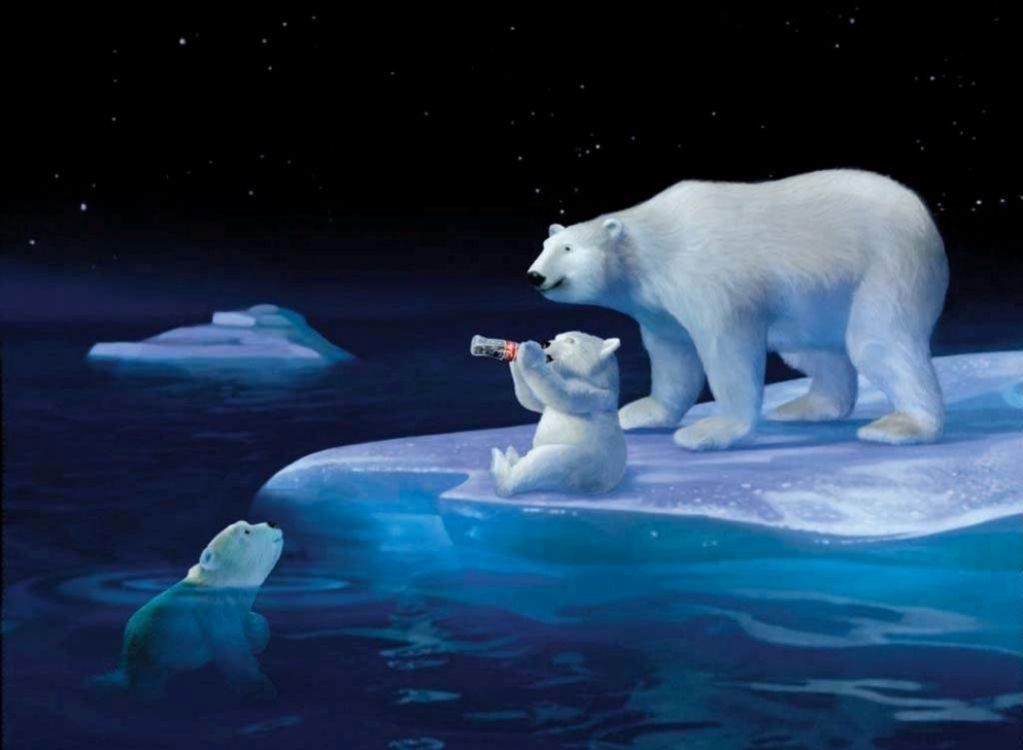 animated polar bear wallpaper | Get Latest Wallpapers
