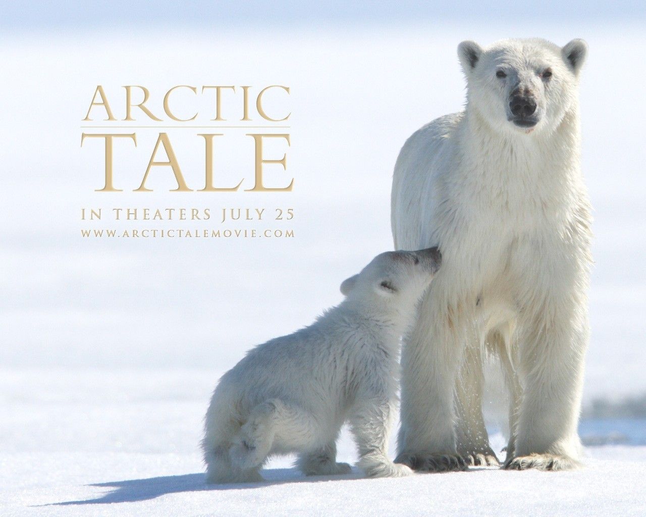 Desktop Wallpapers - Arctic Tale, polar bear - Movie | Free ...