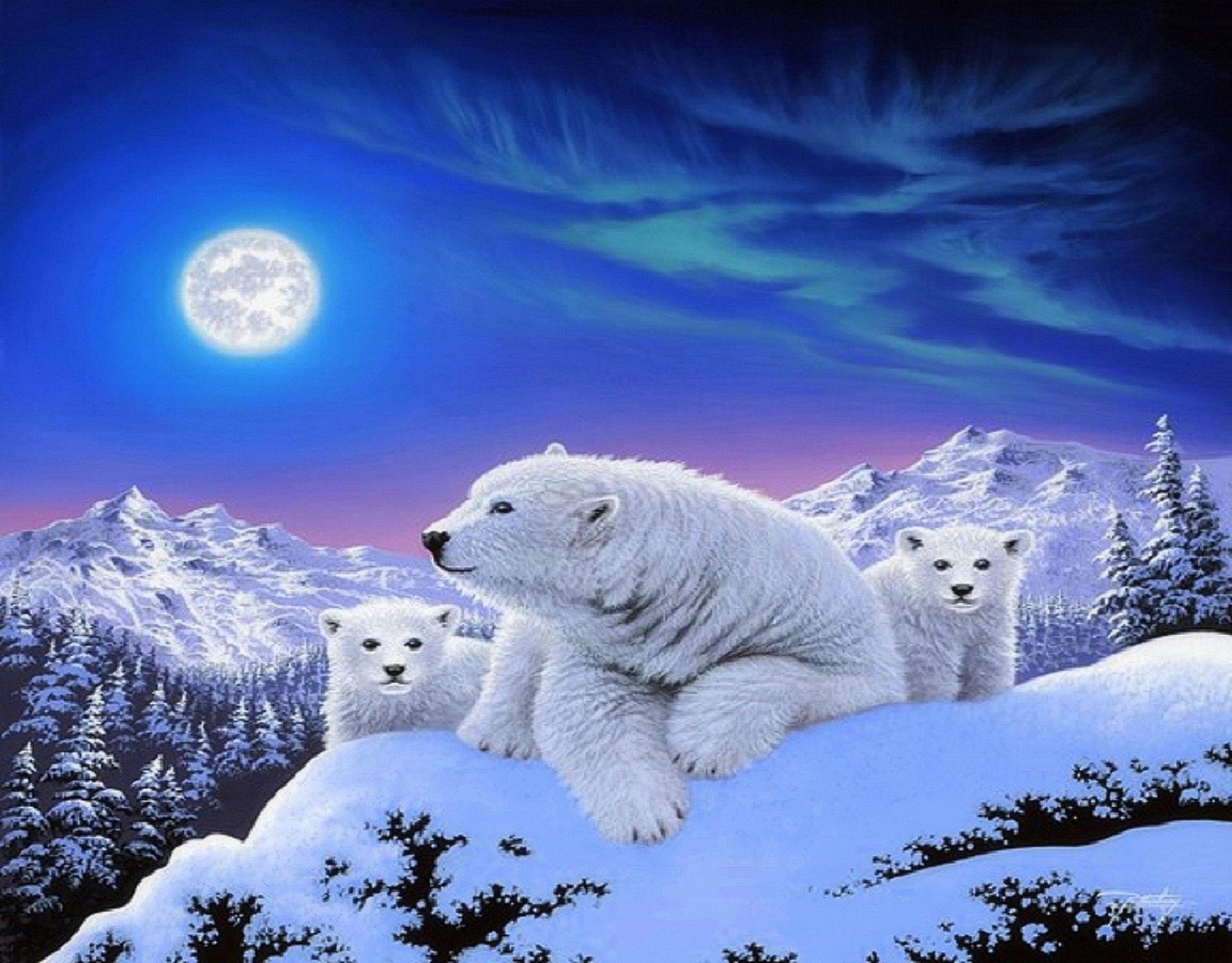 Dreams of Polar Bears? >> HD Wallpaper, get it now!
