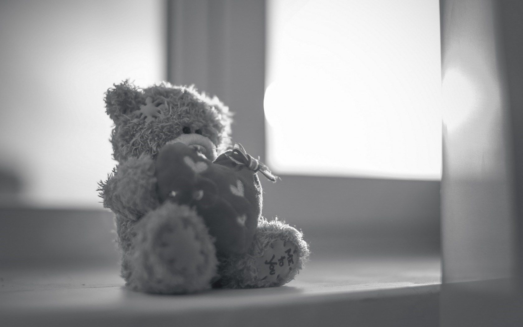 me to you, teddy bear, hug heart, greycale, photo, ribbon, background