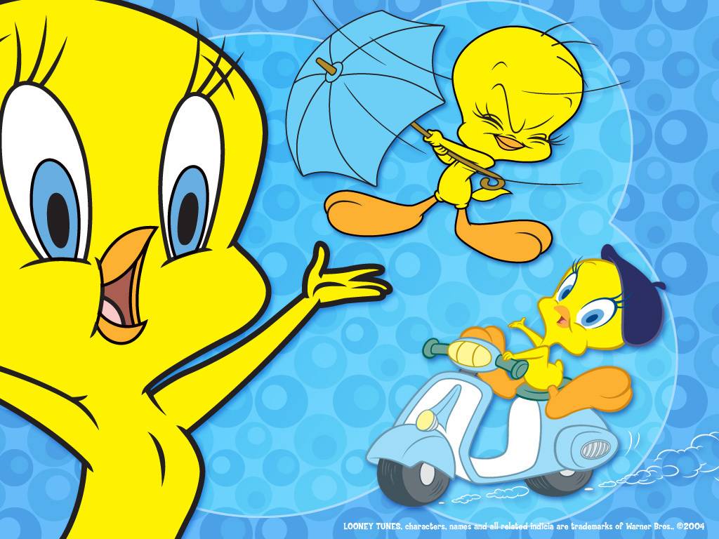 Tweety Bird Wallpapers - Free Android Application - Createapk.com