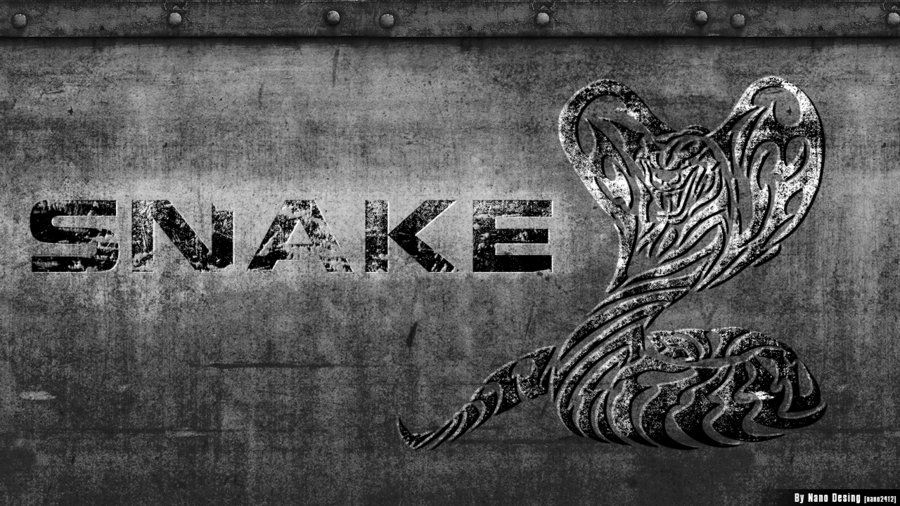 Snake Wallpaper by nano2412 on DeviantArt