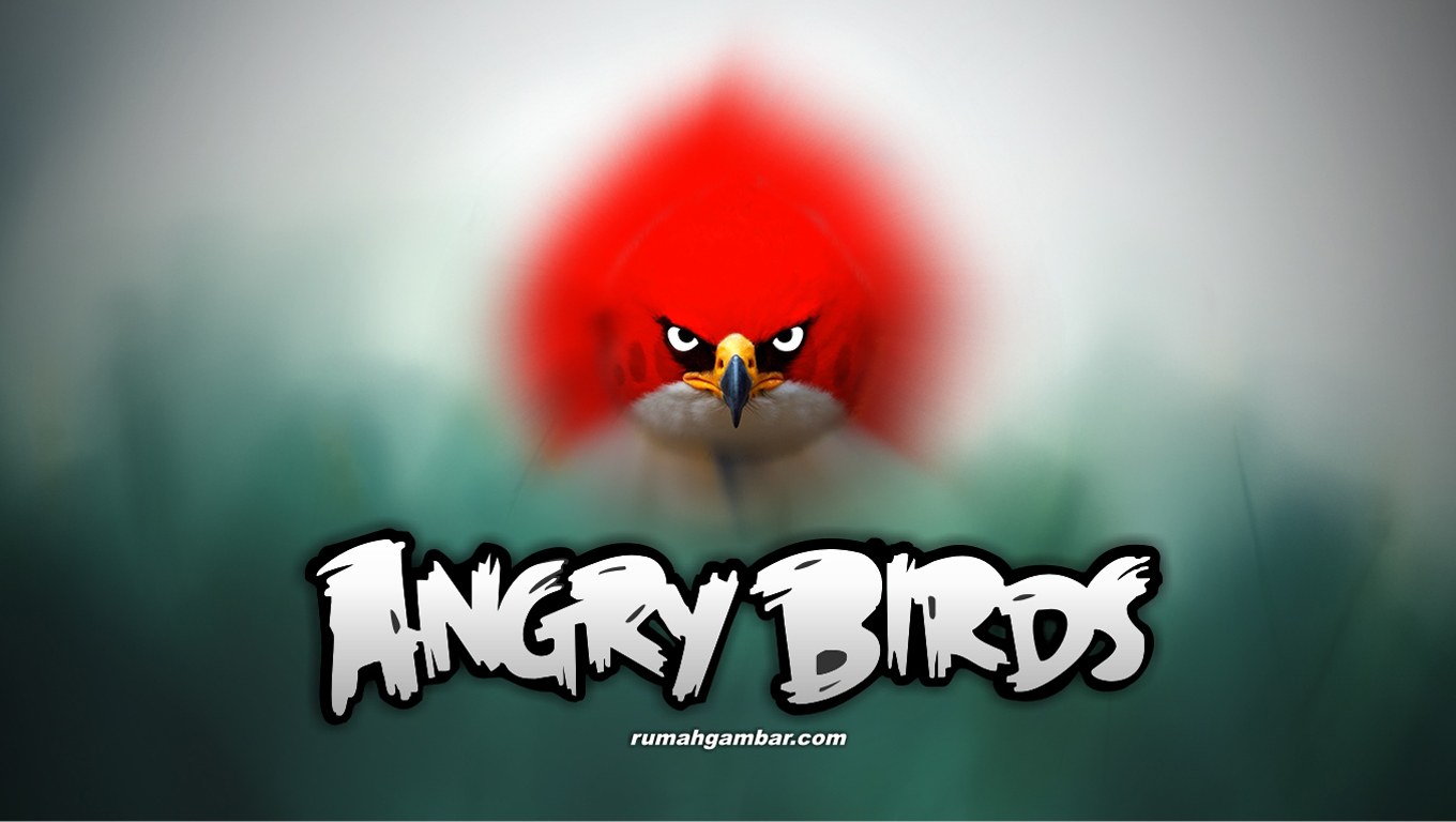 Angry Birds Wallpaper For Computer 45790 Desktop Wallpapers | Top ...