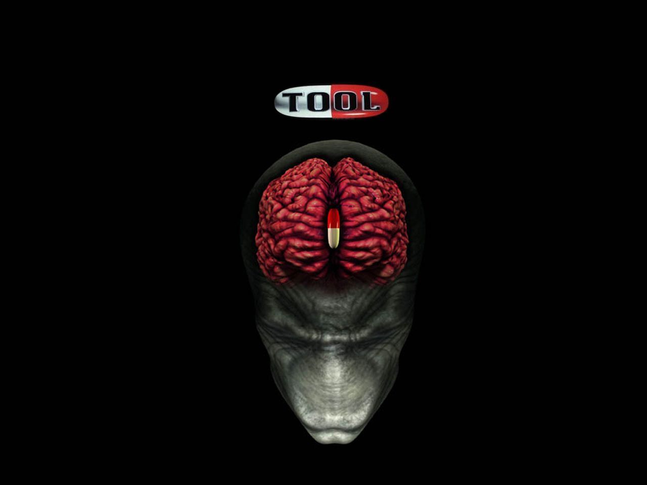 Tool wallpaper - - High Quality and Resolution