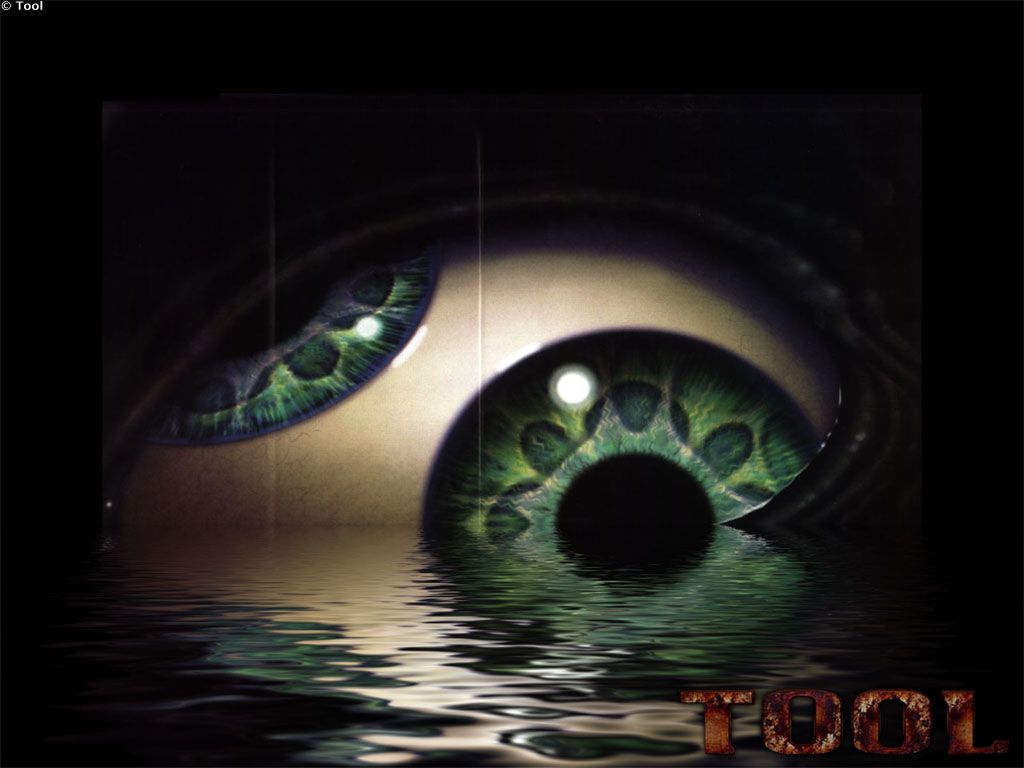 Tool wallpaper - - High Quality and Resolution