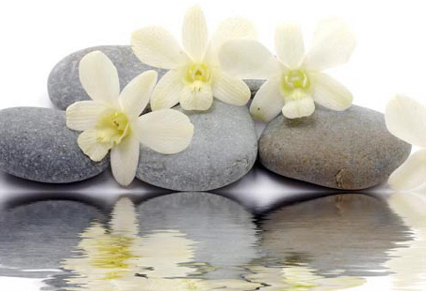 Hd wallpapers zen stones reflecting white flowers new desktop