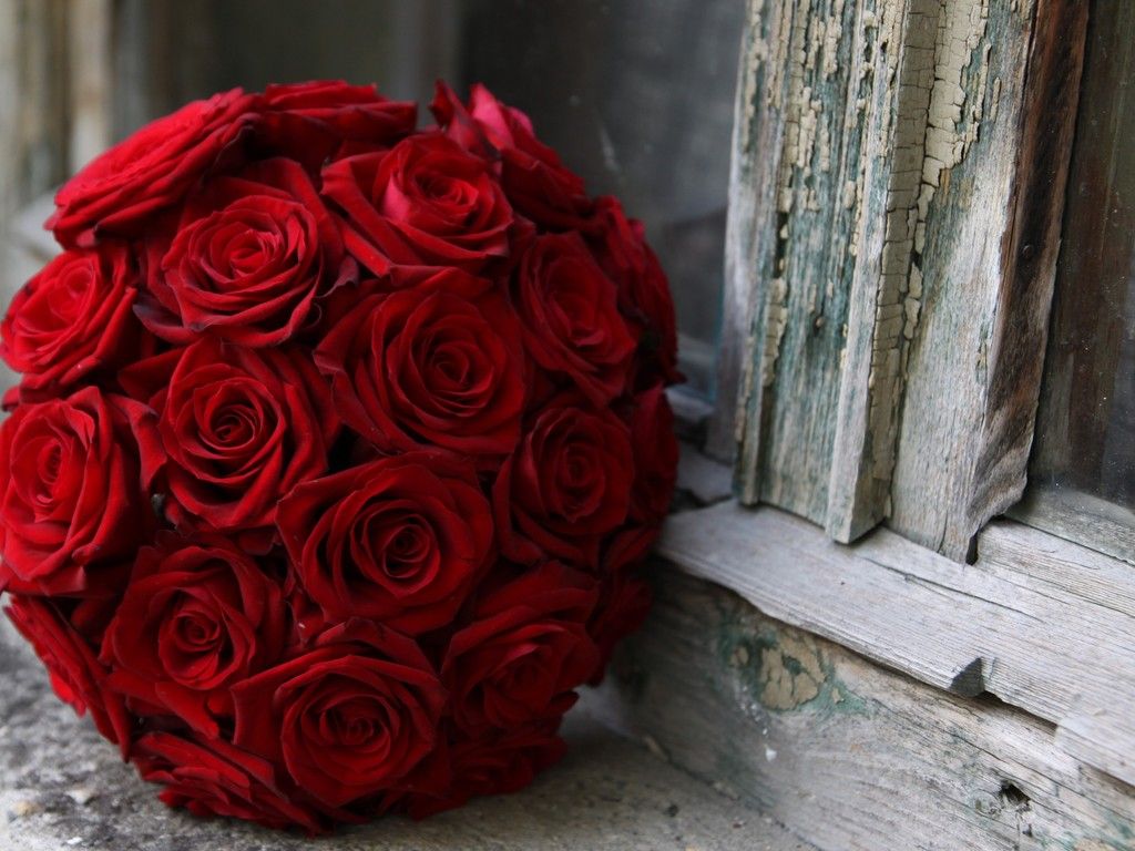 Red Roses Bouquet One HD Wallpaper Pictures Backgrounds FREE