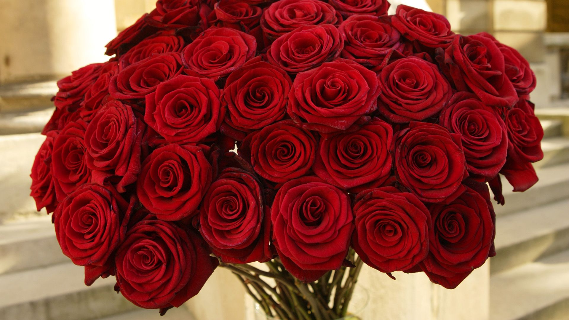 Valentines Day Romantic Red Roses HD Wallpapers Free