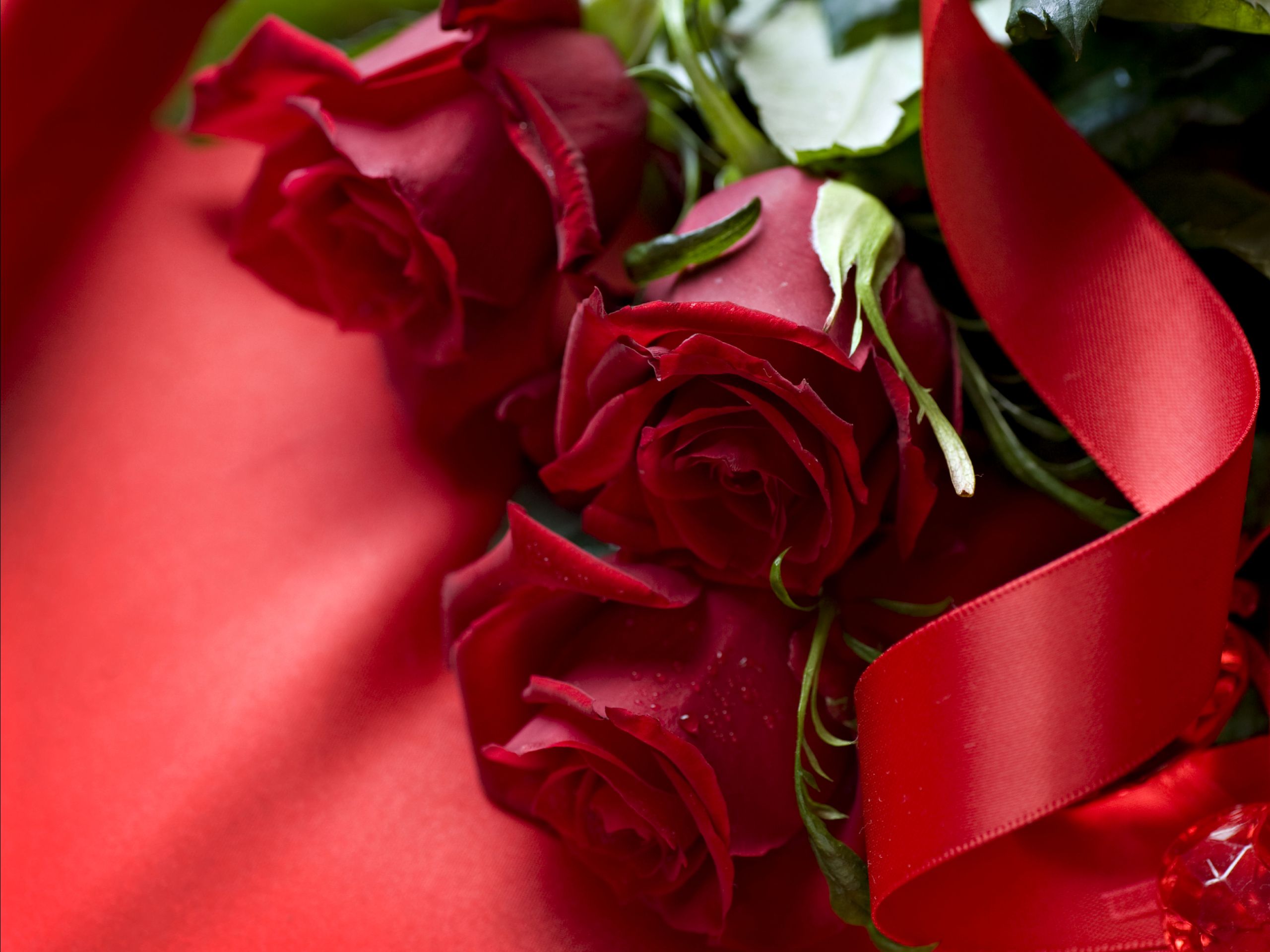 Beautiful 3D Red Rose Wallpaper: Desktop HD Wallpaper - Download ...