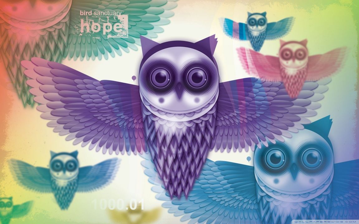 Owls HD desktop wallpaper : High Definition : Mobile