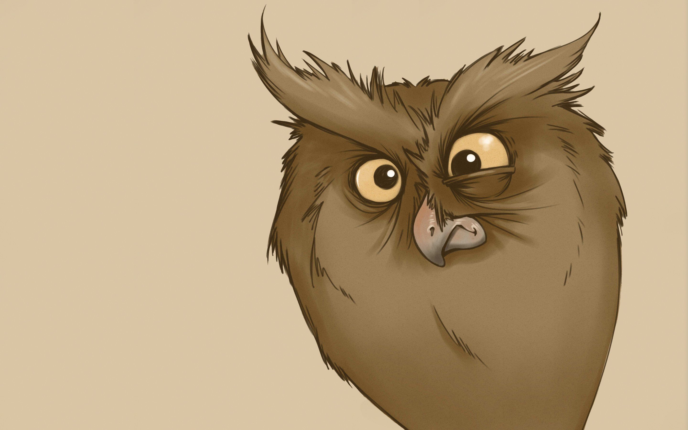 Funny look owl minimalism owl cartoon bird wallpaper 2880x1800