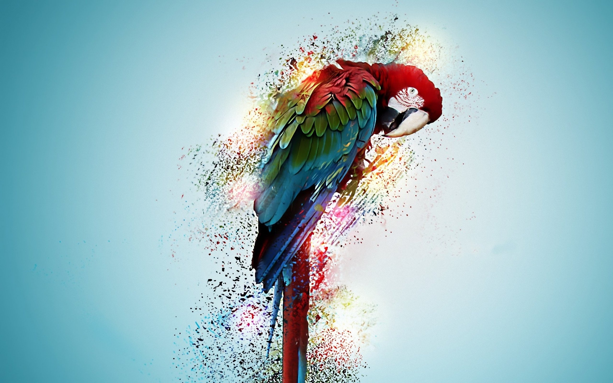 Love Bird Animal Digital Art Wallpaper HD #856 Wallpaper ...