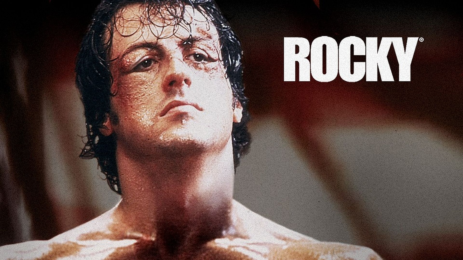 19 Rocky HD Wallpapers Backgrounds - Wallpaper Abyss