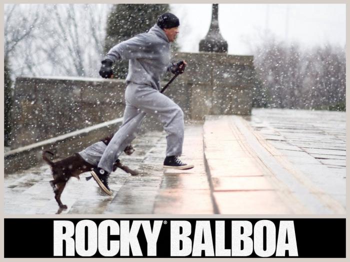 Rocky Balboa Wallpaper - Download