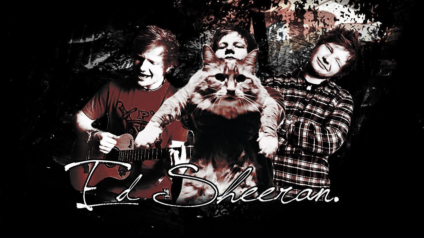 Ed Sheeran Wallpaper - Ed Sheeran Photo (31578759) - Fanpop