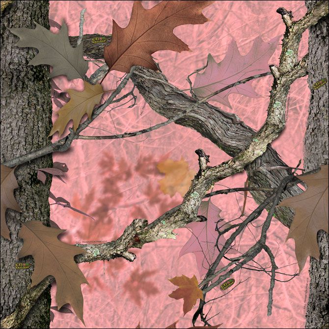 CB Outdoor Fall Transition Camo Camouflage Licensing Graphics Design