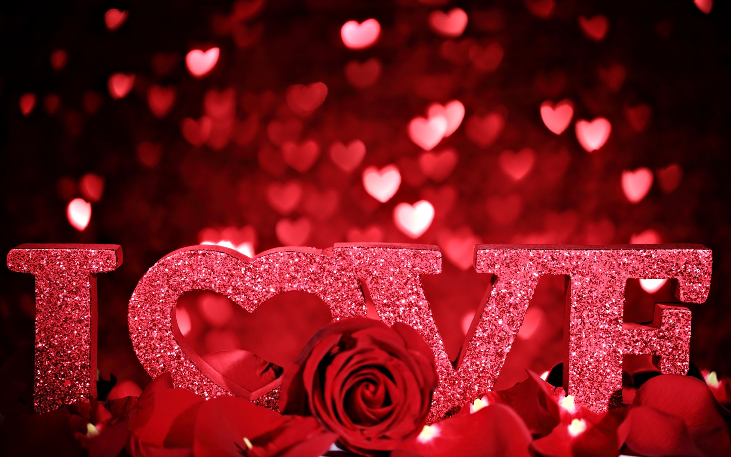 Valentines Day, roses flower, 3d, love, bokeh, heart Image Wallpaper