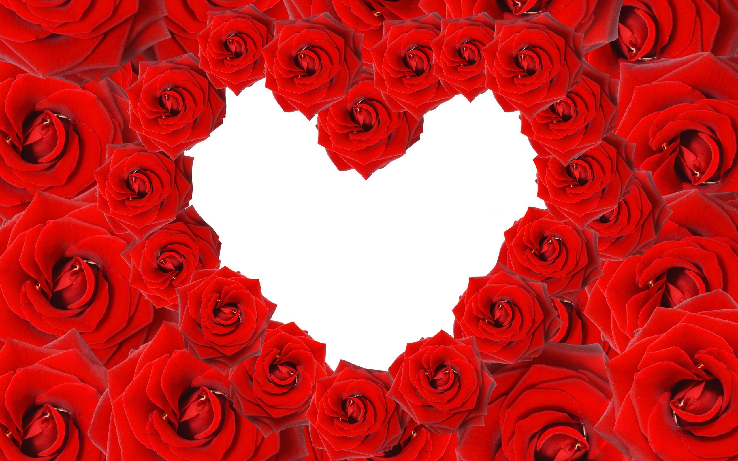 Red Roses & Love Heart Wallpapers HD Backgrounds