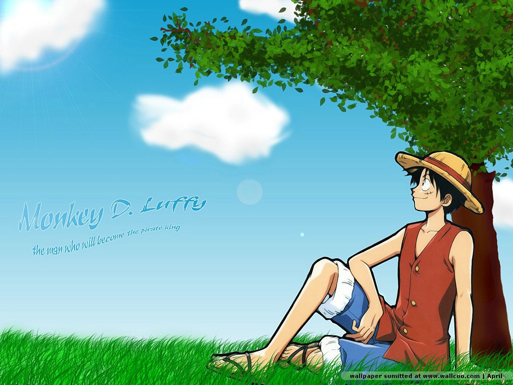 One Piece Anime Character Wallpapers 1024x768 NO.21 Desktop ...