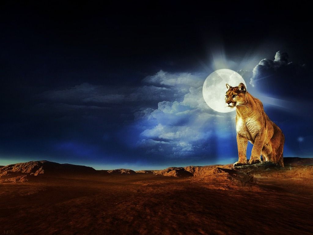 Abstract Puma Cougar Wallpapers | HD Wallpapers | Pictures ...