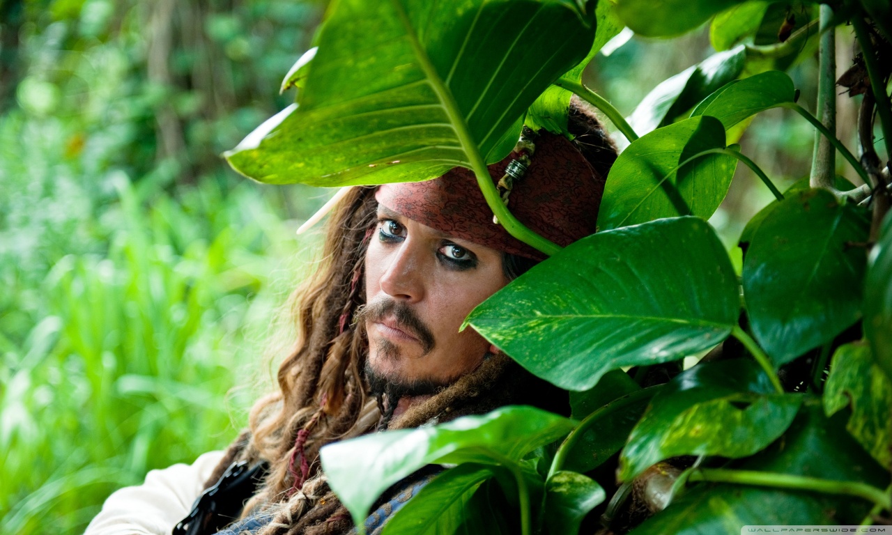 Pirates Of The Caribbean On Stranger Tides, Johnny Depp HD desktop ...