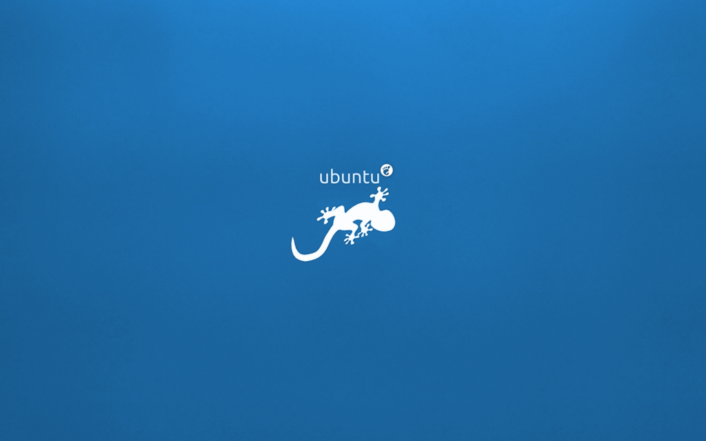 Wallpaper - Ubuntu GNOME 'Saucy Salamander' by PaoloRotolo on ...