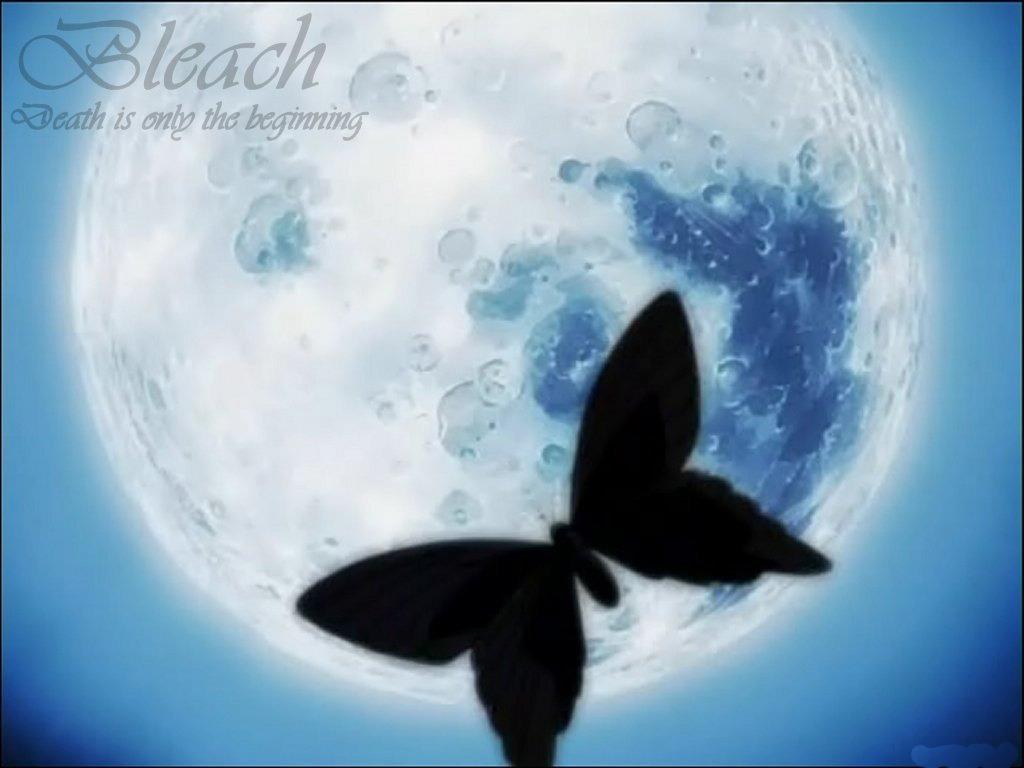 BLEACH WALLPAPERS - Bleach Anime Wallpaper (34292870) - Fanpop