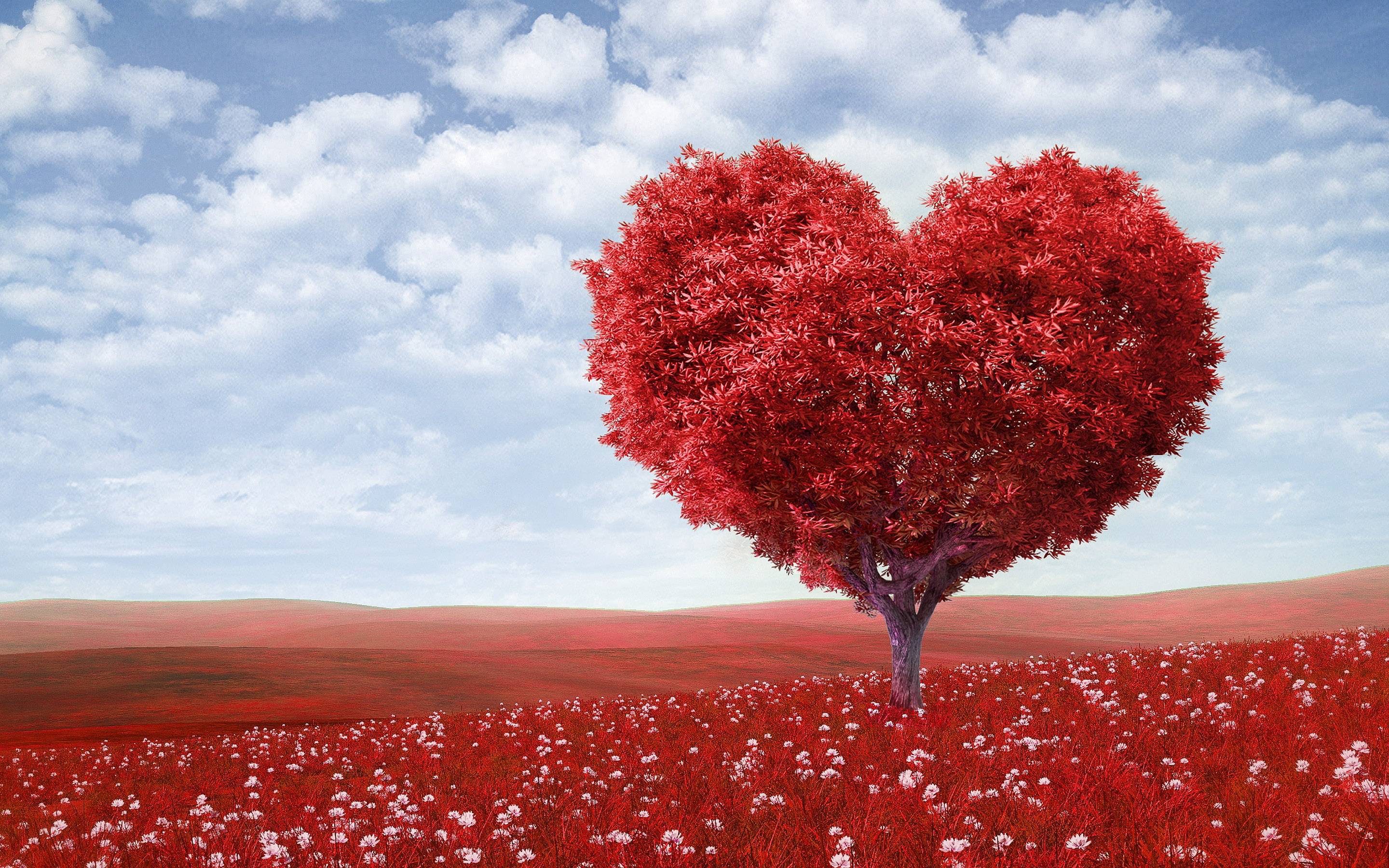 50 Adorable and Romantic Love Wallpapers Picpuddle