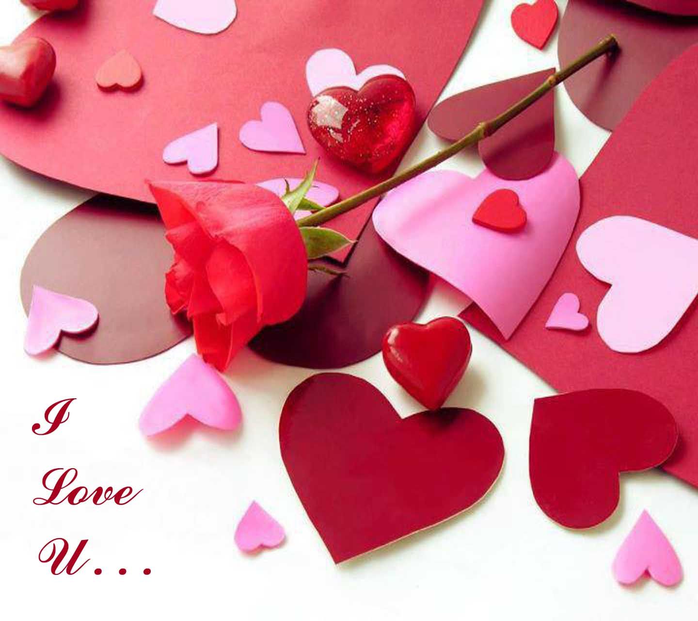 I Love You HD Images Wallpapers I Love You Free Download Images