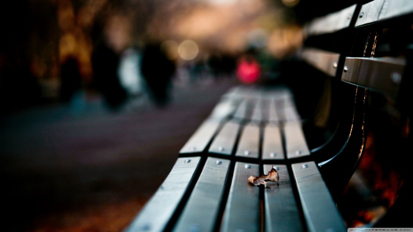 Save My Love For Loneliness HD desktop wallpaper High Definition