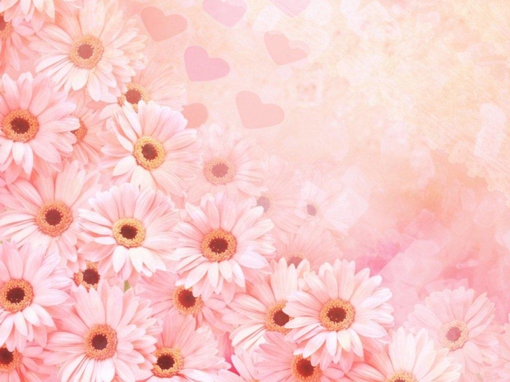 800x800px Girly Pink Background | #382481