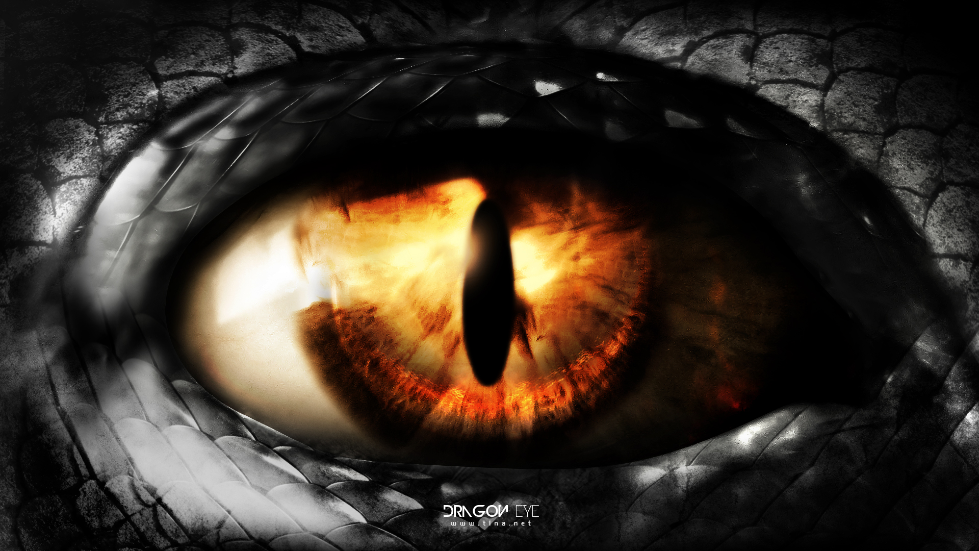 Dragon eye by t1na on DeviantArt