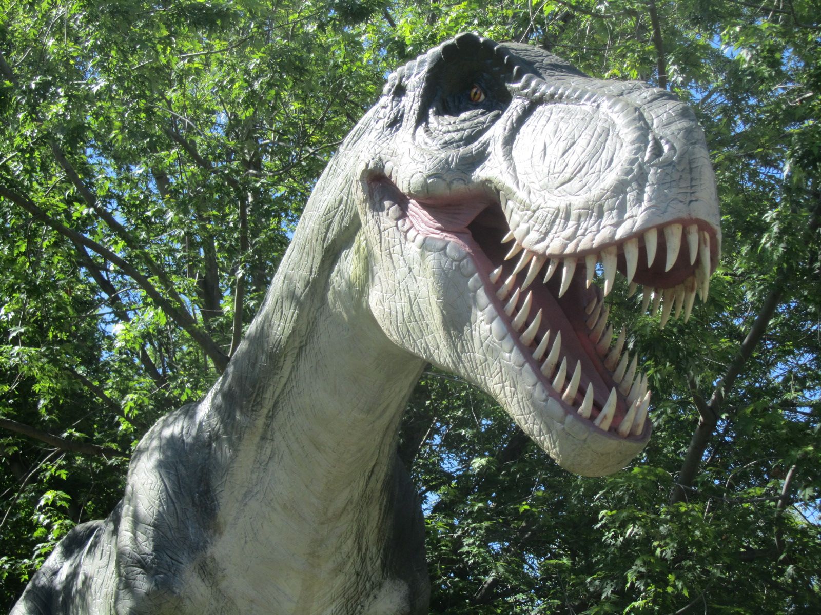 Dinosaurs Roar Into Zoo Boise Boise State Public Radio