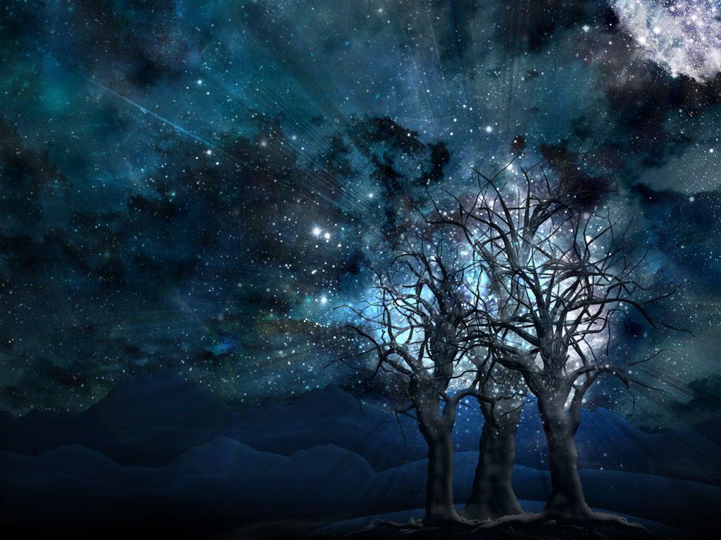 Astronomy Tree Cool Wallpapers HD #14521 Wallpaper | ForWallpapers.com