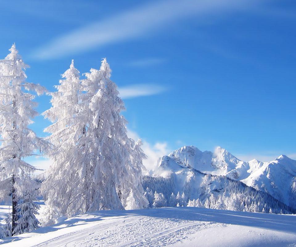 Winter Snow Background 8847398 | HD Wallpapers Range
