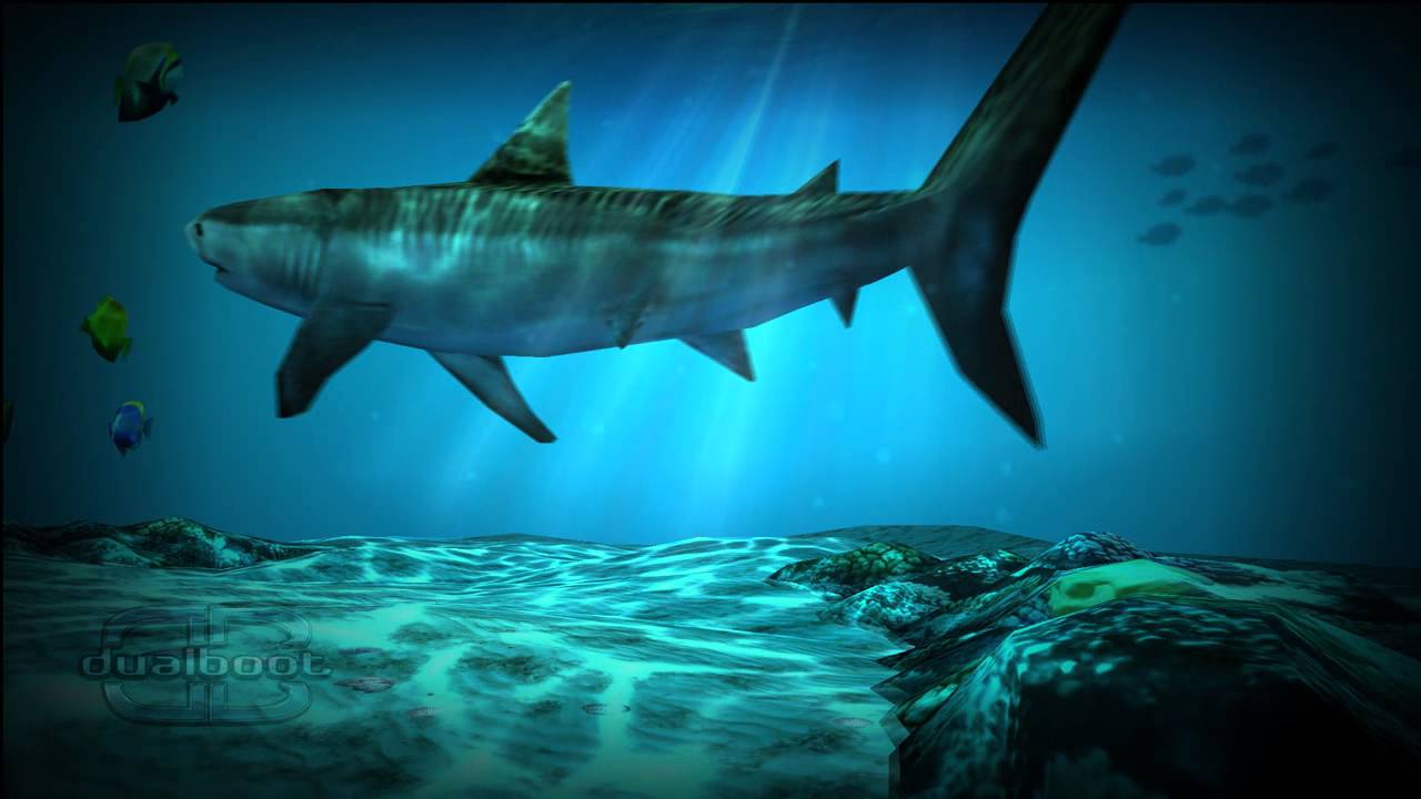 Shark Pack' For Ocean HD Live Wallpaper - YouTube