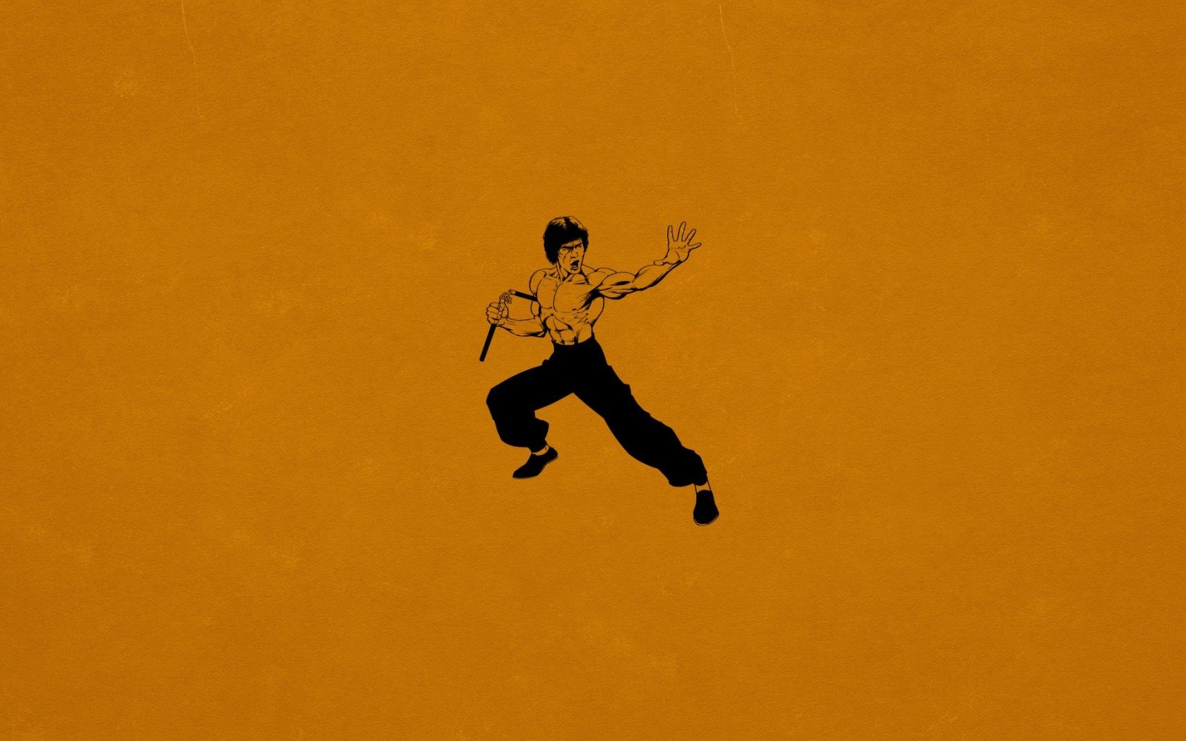 Bruce Lee Kung Fu Wallpapers - 1680x1050 - 382799
