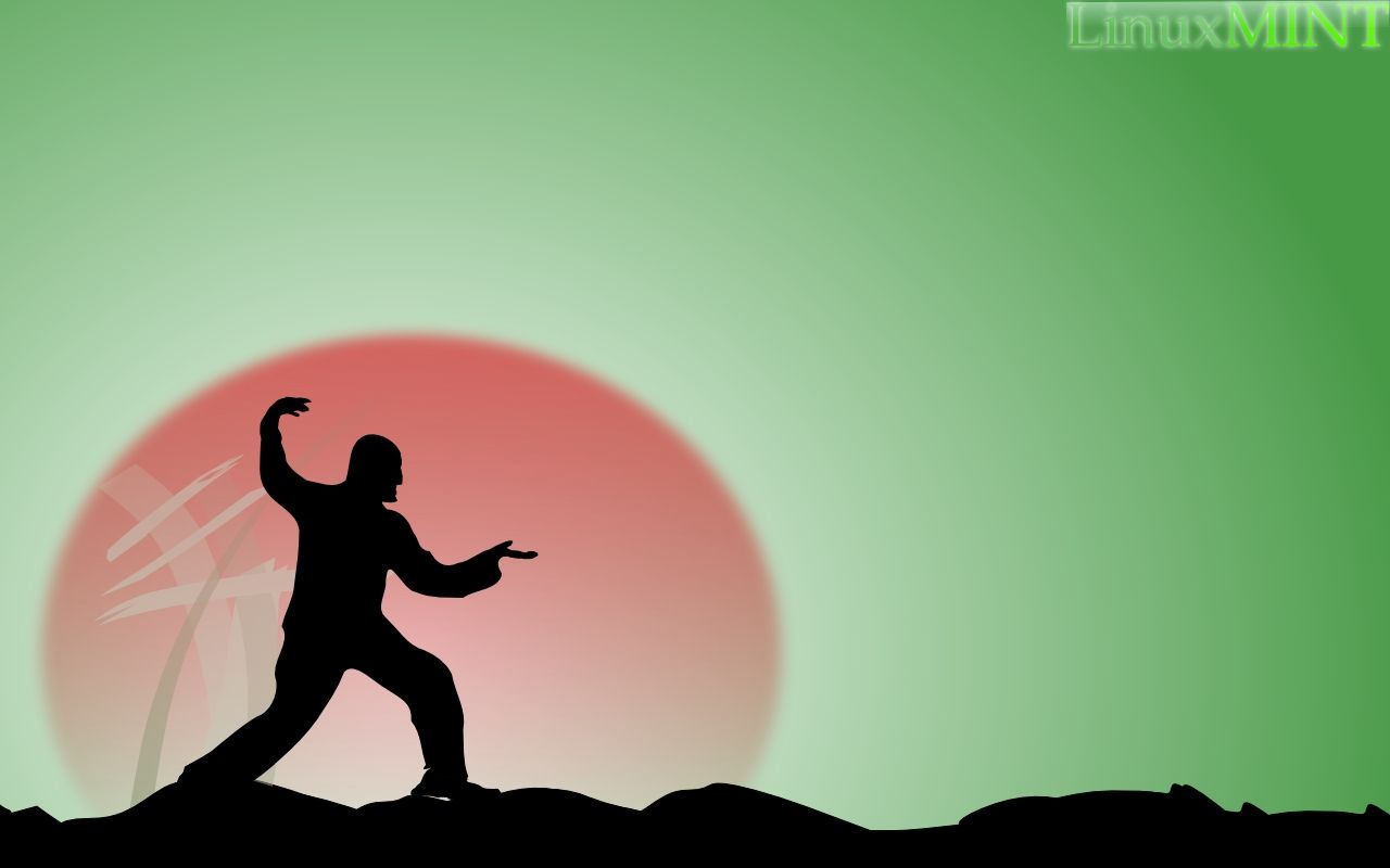 Kung Fu Background Wallpaper - 129290