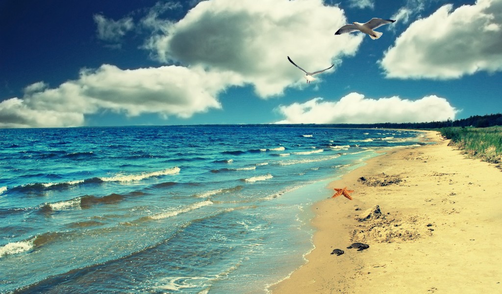 Seaside high definition wallpaper download seaside images free