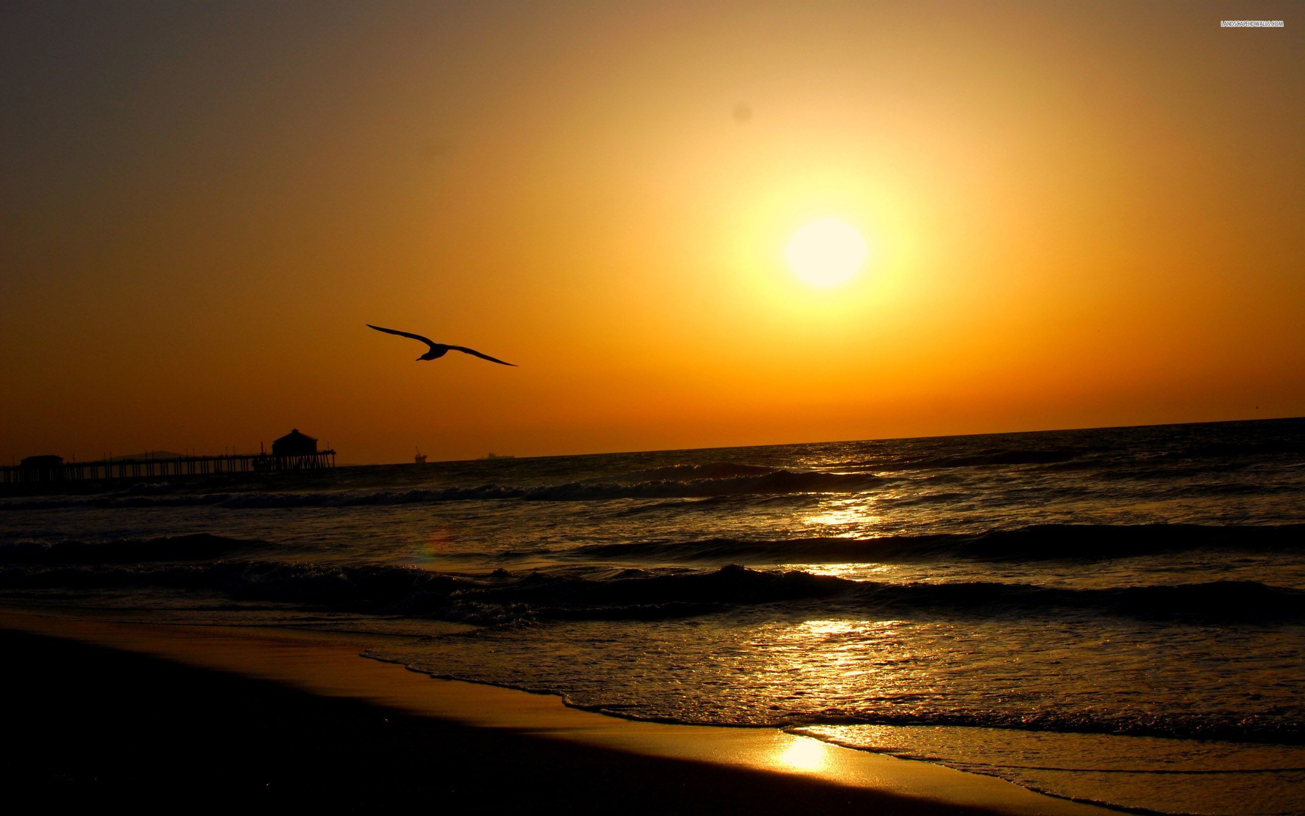 Seaside Sunset, beach, sky, wave, beaches, 2560x1600 HD Wallpaper ...
