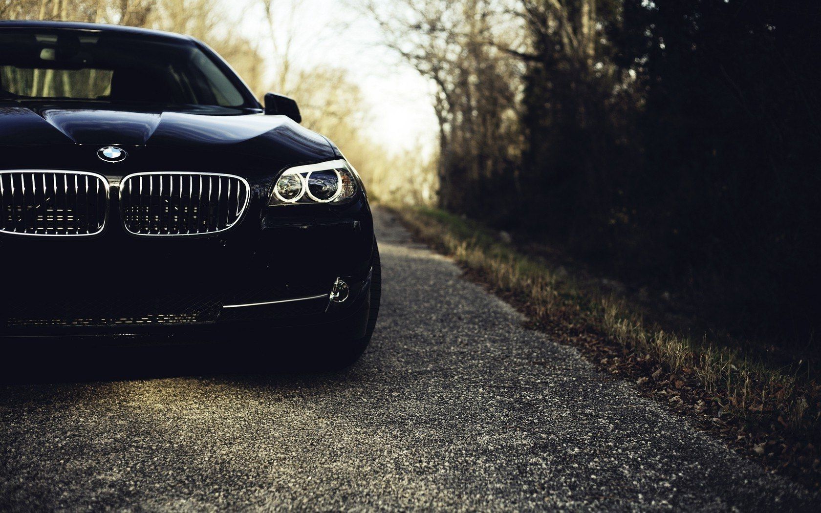 Bmw wallpaper 1680x1050 - High Quality and Resolution