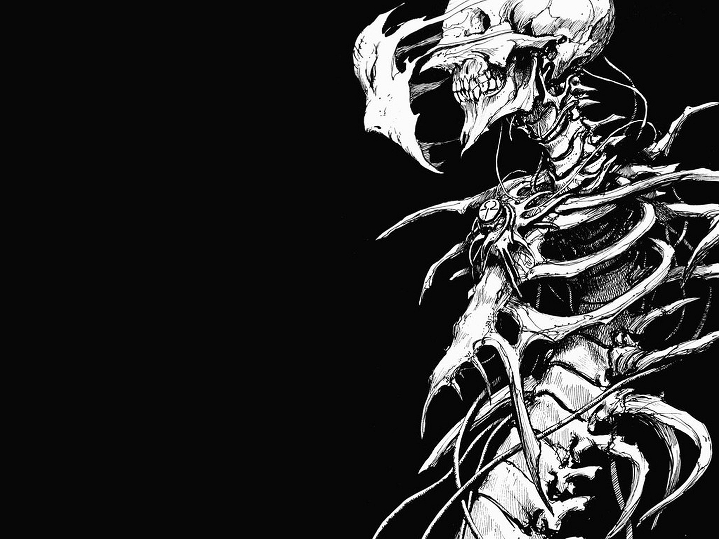 129 Skeleton HD Wallpapers Backgrounds - Wallpaper Abyss