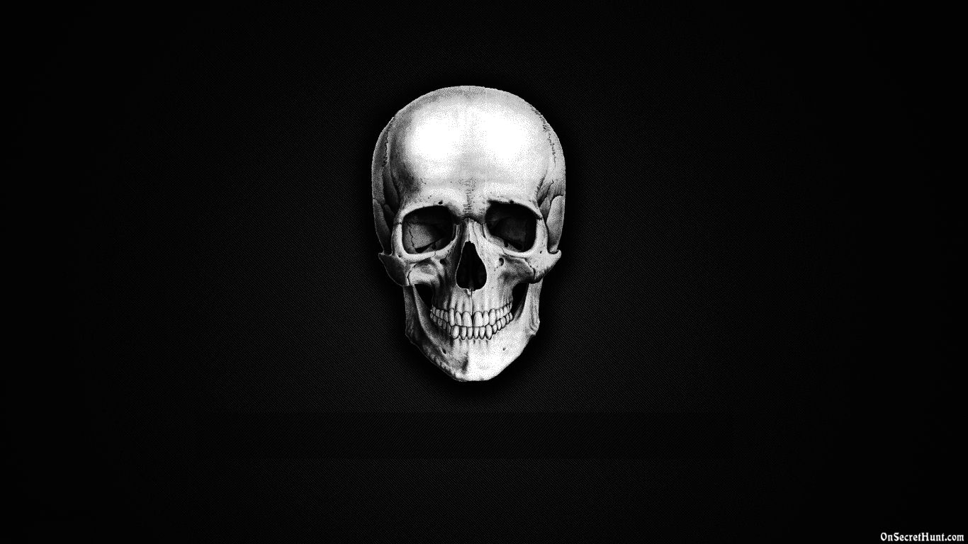 Skeleton Hd Wallpapers Free HD Desktop Wallpapers - Widescreen
