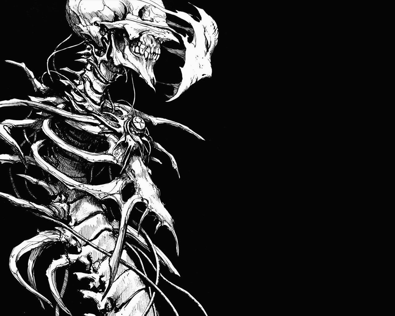 129 Skeleton HD Wallpapers Backgrounds - Wallpaper Abyss -