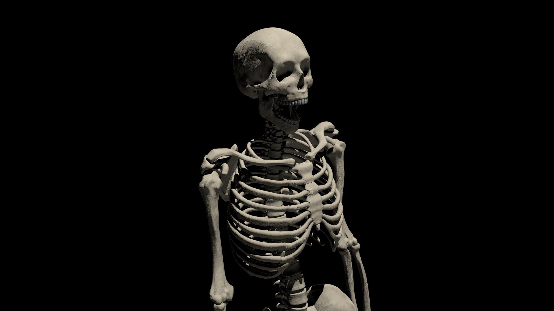 Skeleton hd uk