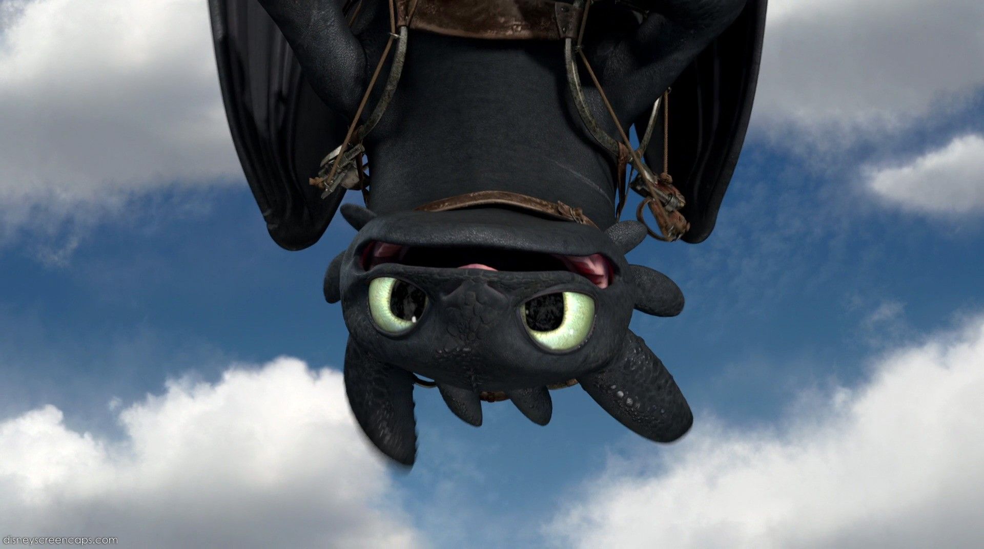 Toothless and Stitch Wallpapers on WallpaperDog