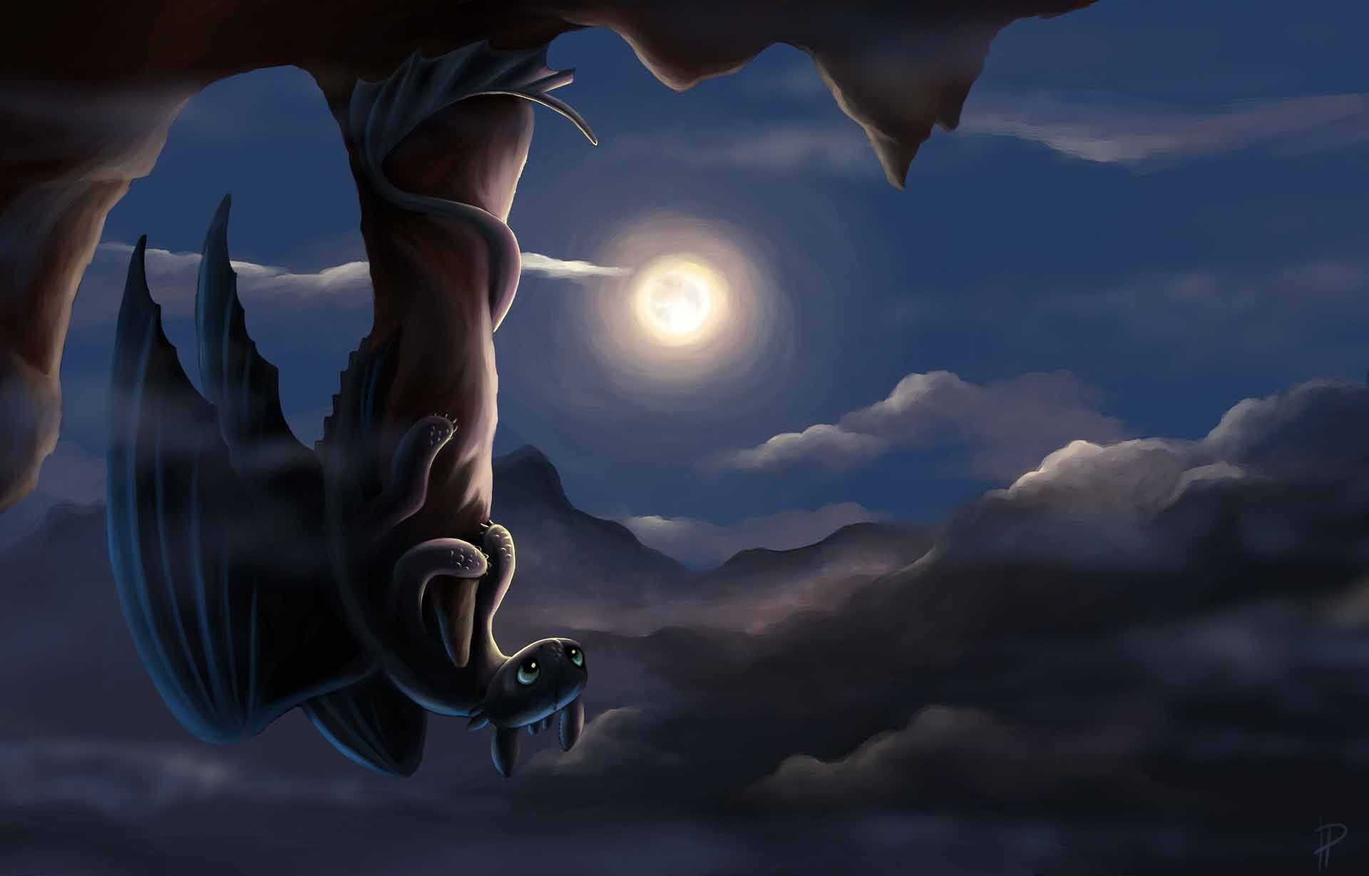 How to Train Your Dragon - Night Fury artwork - Wallpaper